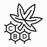 Marijuana Molecule Weed Hemp Cannabidiol sketch template