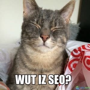 answer  cats questions  seo traffic jams blog