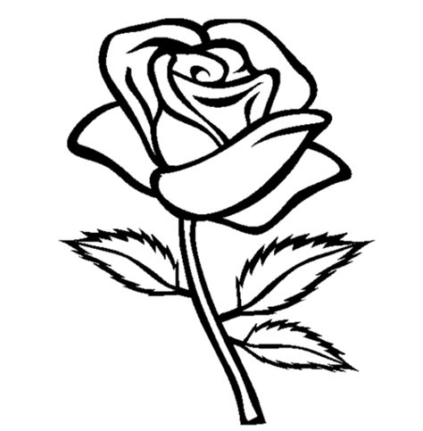rose coloring pages  printable coloring pages  kids