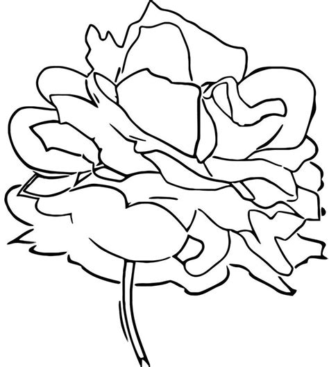 red rose flower coloring page flower coloring pages red rose flower