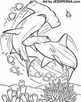 Coloring Bahamas Shark Hammerhead Pages Drawing Swimming Book Line Hire Drawings Illustrator Fish Icon Designlooter Printable Sharks Water 249px 6kb sketch template