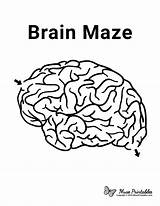 Brain Maze Kids Printable Mazes Worksheets Easy Activities Activity Human Printables Museprintables Preschool Body Sheet Visit sketch template