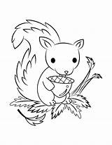 Squirrel Museprintables sketch template