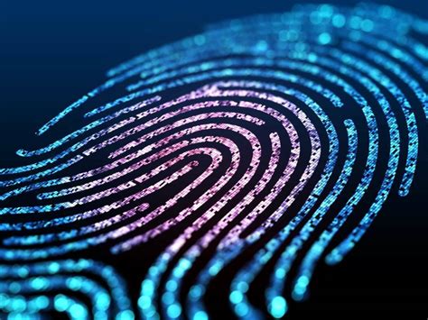 incumbent scores big  national biometrics system fail strategy software itnews