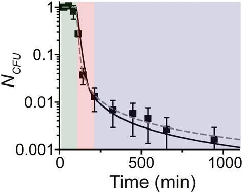power law tail in lag time distribution underlies bacterial persistence