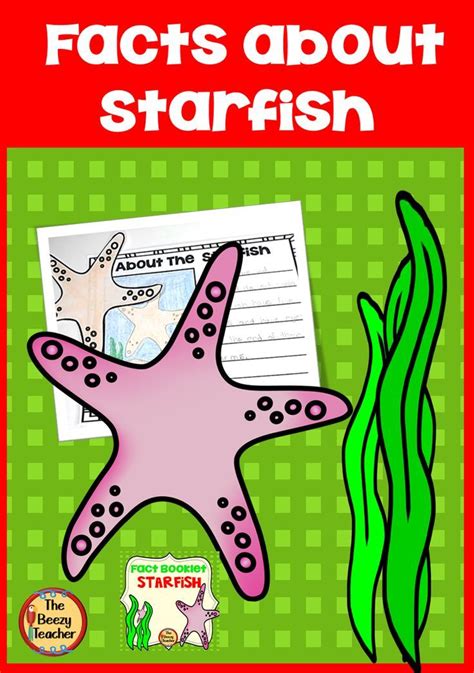 starfish fact booklet  digital activities digital activities