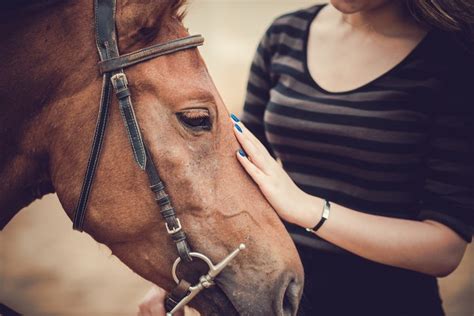 finding healing  horse therapy mindfood