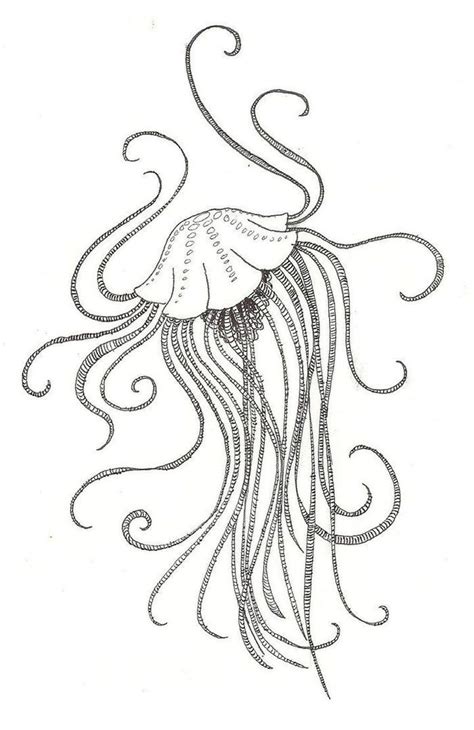 jellyfish coloring pages  coloring sheets jellyfish coloring