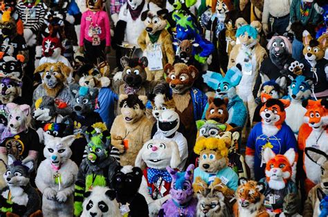 Furry Fandom Is More Than Furry Fetish