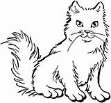 Katzen Katze Ausmalbild Malvorlage Ausgestopftes Pies Malowanki Tiervorlagen Tier Fur sketch template