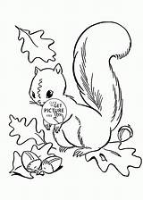 Coloring Squirrel Pages Leaves Jungle Fall Acorn Autumn Drawing Kids Cute Line Sword Stone Printable Wuppsy Sheets Getdrawings Template Color sketch template
