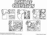 Creation Pages Coloring Numbers Getcolorings Days Printable sketch template