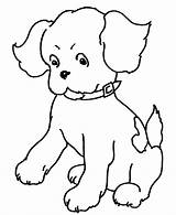 Chiot 2915 Cachorro Coloriage Puppys Coloriages Animaux Coloringhome sketch template