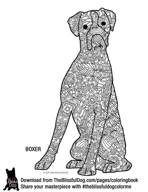 boxer dogs tips dog coloring book dog coloring page puppy coloring