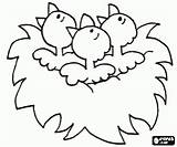Nest Nid Oisillons Printemps Spring Vogels Colorare Nido Lente Vogeltjes Drie Oiseau Kids Uccelli Coloriages Knutsels Vogeltje Bezoeken Yoo Kleurplaatkleurplaten sketch template