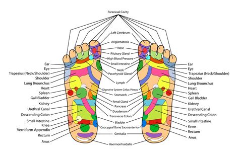 How To Give Yourself A Foot Massage Benefits And Techniques Hydragun