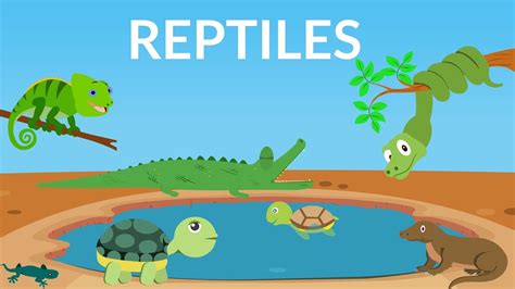 learn  reptiles reptiles video  kids youtube