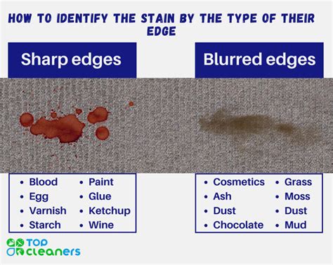 ultimate stain removal guide