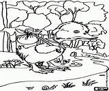 Ugly Duckling Coloring Pages Begins Adventure Sad sketch template