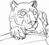 Nittany Lion Drawing Getdrawings sketch template