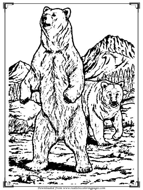 realistic bear coloring pages  getdrawings