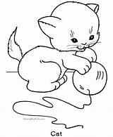 Coloring Pages Kitten Cat Printable Print Cats sketch template