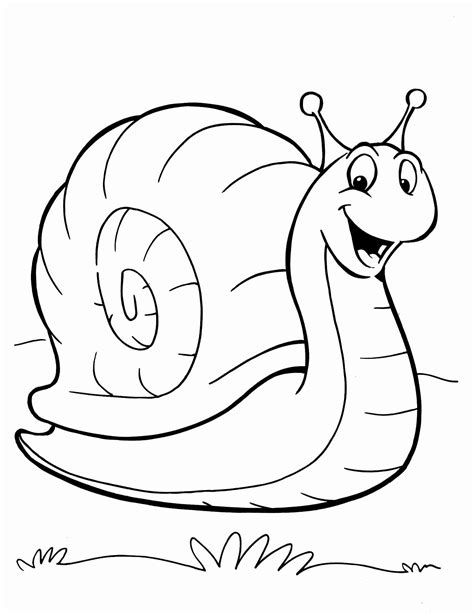 snail coloring page  getcoloringscom  printable colorings