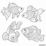 Coloring Goldfish Pages Matisse Fish Drawing Henri Book Color Getcolorings Freehand Antistress Clown Zentangle Sketch Adult Style Printable Getdrawings sketch template