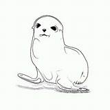 Coloring Seal Cute Baby sketch template