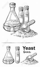 Yeast Template sketch template