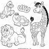 Coloring God Animals Lion Giraffe Clipart Made Cartoon Zoo Animal Created Pages Tortoise Vulture Bones Cat Big Printable Limited Vector sketch template