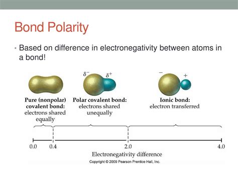 polarity powerpoint    id