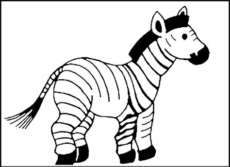 zebra coloring page  animal place