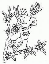 Oiseaux Uccelli Oiseau Branche Pajaros Disegno Colorear Coloriages Branches Stampare Paginas Animali Hugolescargot sketch template