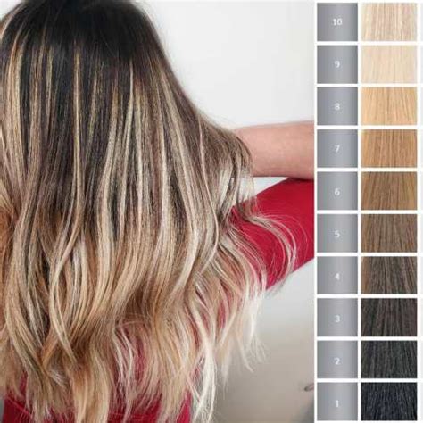 hair color chart guide  hair levels  tones explained