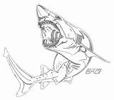 Megalodon Coloring Pages Print Sand Kids Meg Research sketch template