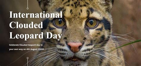 International Clouded Leopard Day 04 August ~ Current Affairs Ca