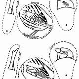 Kleurplaten Vogels Kleurplaat Leuke Huismus Heggenmus Bouwtekening Vogelbescherming sketch template