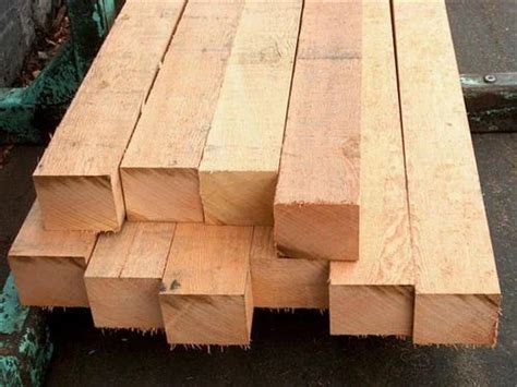 sal wood  rs cubic feet sal wood  kolkata id