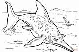 Coloring Ichthyosaur Pages Drawing sketch template