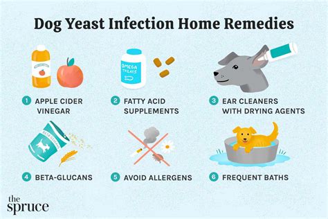 home remedies  dog skin infection lupongovph
