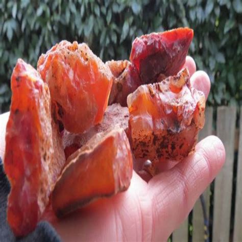 natural red carnelian rough raw stone shubhanjali care