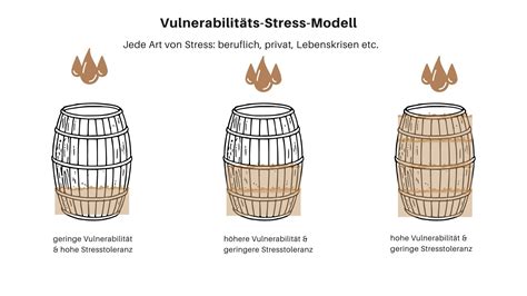 vulnerabilitaets stress modell erklaerung kritik maengel