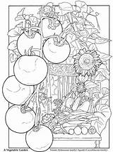 Colouring Dover Publications Veggie Coloriages Doverpublications sketch template