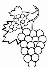 Grapes Weintrauben Letzte sketch template