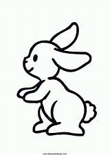 Conejos Colorear Bosque Rabbits sketch template