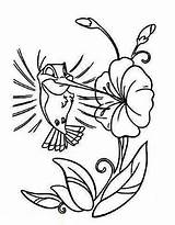 Coloring Pages Hummingbird Printable Cartoon Easy Choose Board Letscolorit sketch template