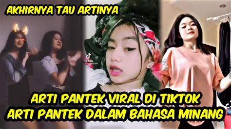 Apa Arti Pantek Viral Di Tiktok Ini Maksud Dan Maknanya Hot Sex Picture