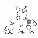 Donkey Coloring Pages Mule Baby Printable Little sketch template