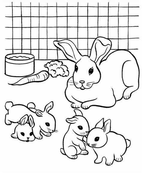 rabbit coloring picture coloring home